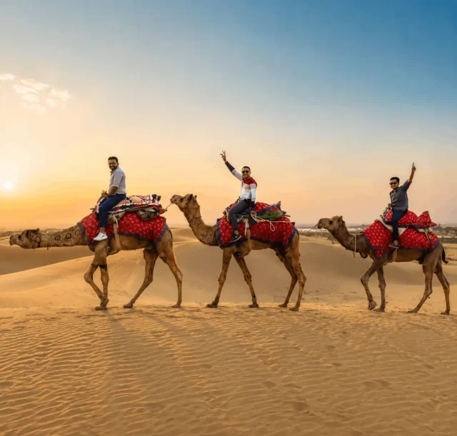 camel safari